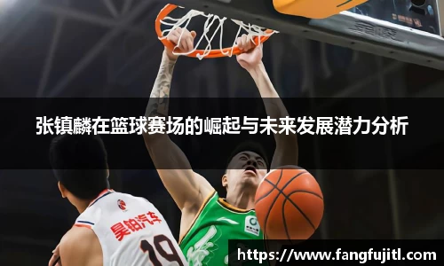 张镇麟在篮球赛场的崛起与未来发展潜力分析